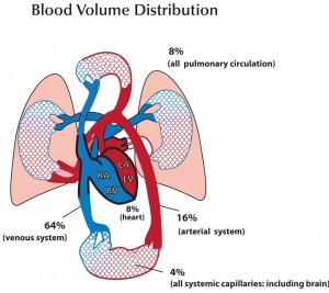 BloodVolumeDistribution-figure4
