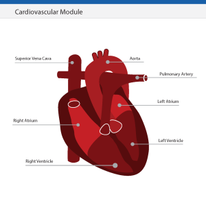 Natural Science Module CV