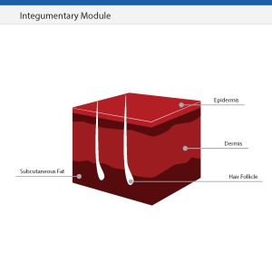 Natural Science Module Int