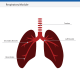 EM-Respiratory-Module